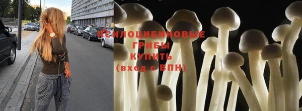 стафф Горно-Алтайск