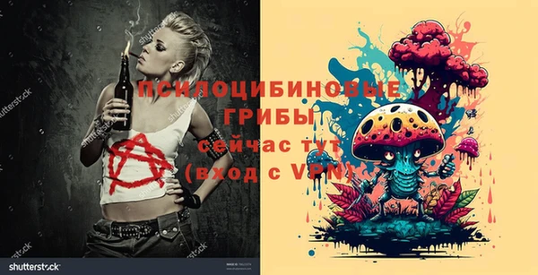 стафф Горно-Алтайск