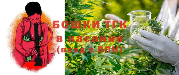 mdpv Горнозаводск