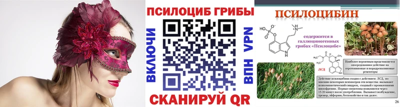 купить наркотики сайты  даркнет телеграм  Галлюциногенные грибы Magic Shrooms  Иркутск 